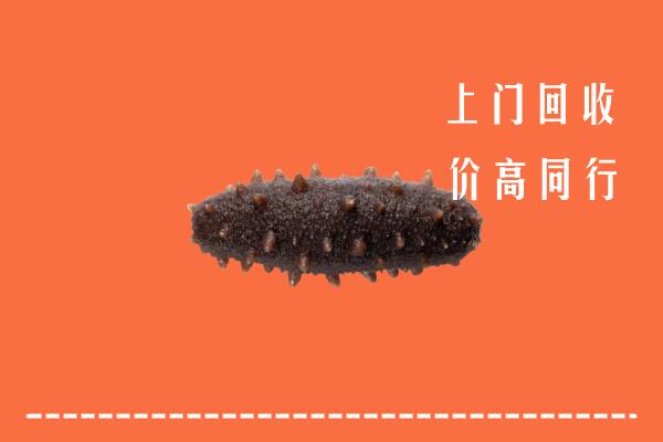高价求购：绥化市绥棱回收海参