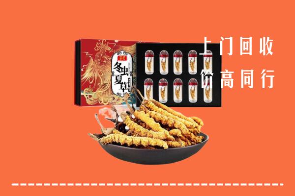 绥化市绥棱回收虫草